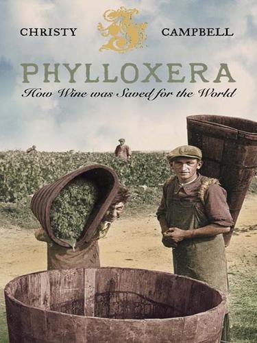 Cover for Phylloxera