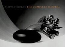 Cover for Mapplethorpe