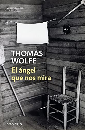 Cover for El ángel que nos mira