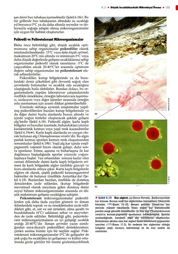 Cover for Brock mikroorganizmaların biyolojisi