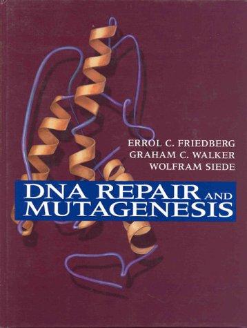 Cover for DNA repair and mutagenesis