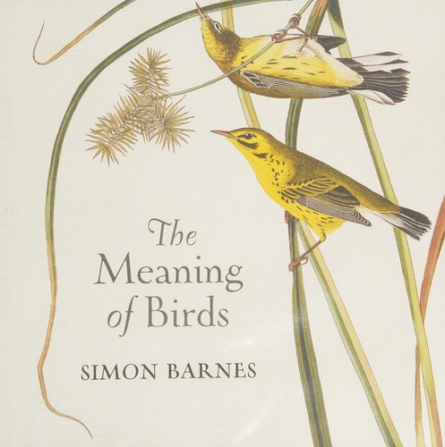 Cover for Meaning of Birds