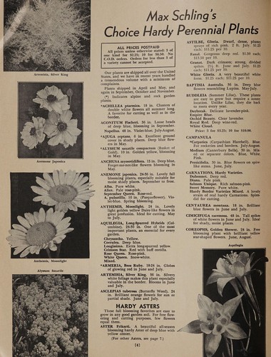 Cover for New 1956 selections of shrubs, plants, seeds, bulbs and other garden needs