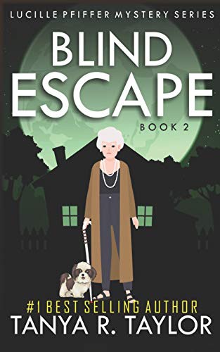 Cover for BLIND ESCAPE