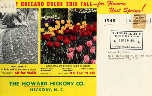 Cover for Plant Holland bulbs this fall for flowers next spring