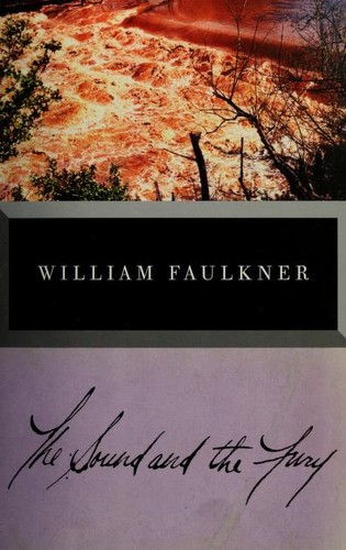 Cover for The sound and the fury