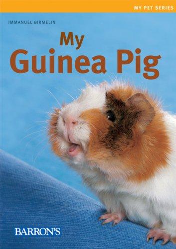 Cover for My Guinea Pig (My Pet Series)