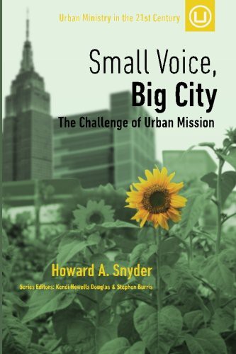 Cover for Small Voice, Big City