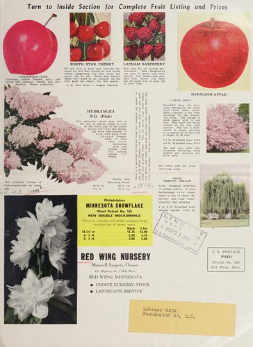 Cover for Choice nursery stock, landscape service