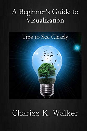 Cover for A Beginner's Guide to Visualization