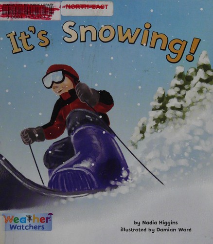 Cover for It's snowing!
