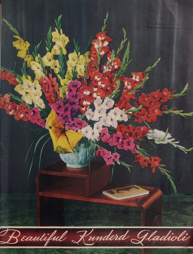 Cover for Beautiful Kunderd gladioli