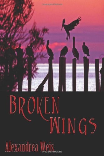 Cover for Broken Wings