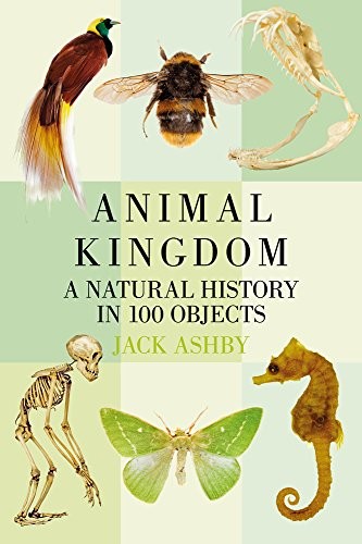 Cover for Animal Kingdom