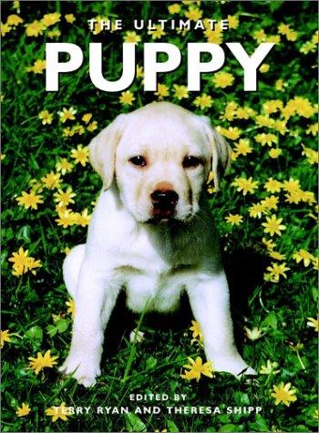 Cover for The ultimate puppy