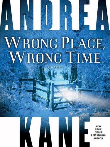 Cover for Wrong Place, Wrong Time