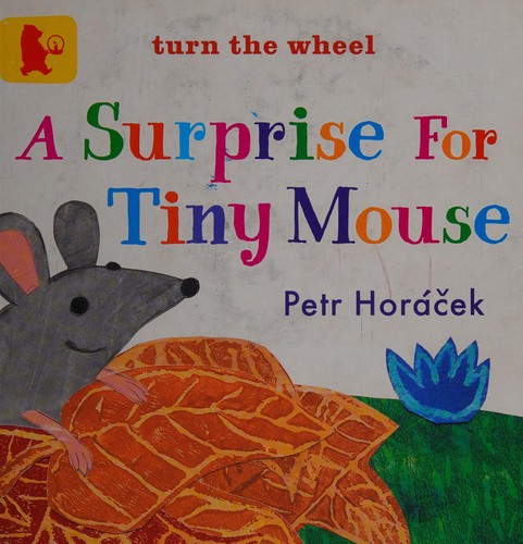 Cover for A surprise for tiny mouse