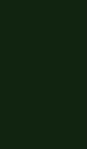 Cover for The defense of Jisr al-Doreaa