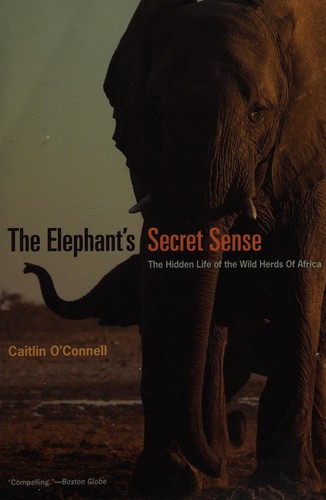 Cover for The elephant's secret sense