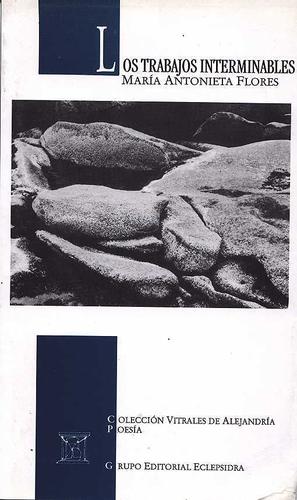 Cover for Los trabajos interminables