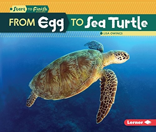 Cover for From Egg to Sea Turtle