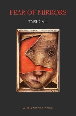 Cover for Fear of Mirrors
