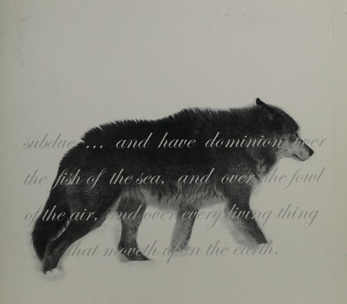 Cover for Maison de loup