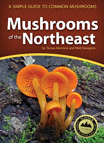 Cover for Mushrooms of the Northeast
