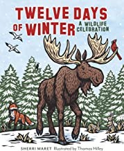 Cover for Twelve Days of Winter
