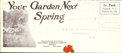 Cover for The glory of the garden in spring