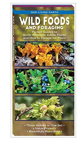 Cover for Wild Foods and Foraging