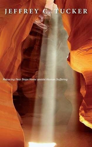 Cover for Out of the Canyon