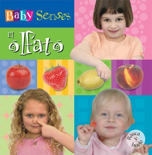 Cover for Baby Senses: El olfato: Baby Senses