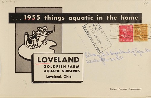 Cover for 1955 "things aquatic in the home"