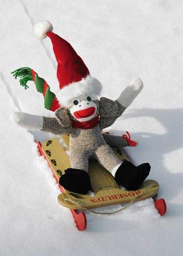 Cover for 3751 - Sock Monkey Boxed Holiday Cards