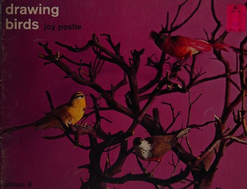 Cover for Drawing birds.