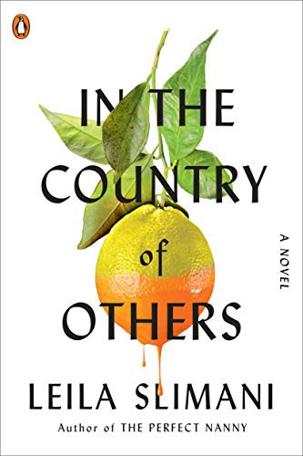 Cover for In the Country of Others