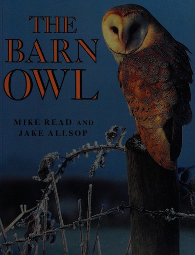 Cover for The barn owl