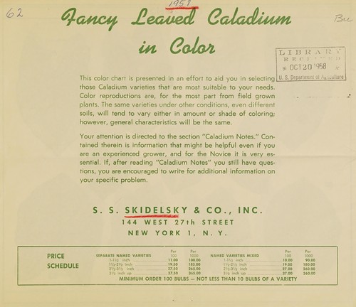 Cover for Fancy leaved caladium in color