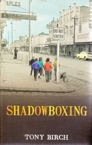 Cover for Shadow Boxing