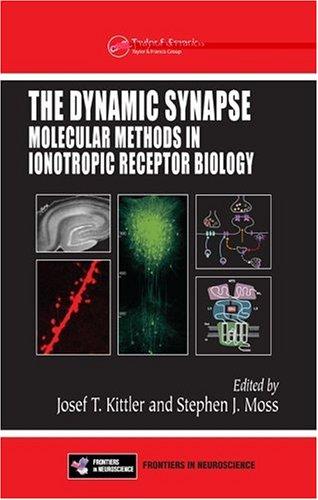 Cover for The dynamic synapse