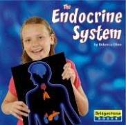 Cover for The endocrine system