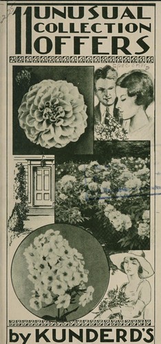 Cover for 11 unusual collection offers by Kunderd's