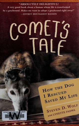 Cover for Comet's tale
