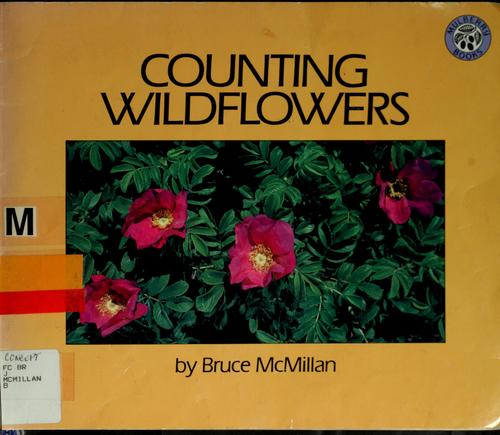 Cover for Counting Wildflowers