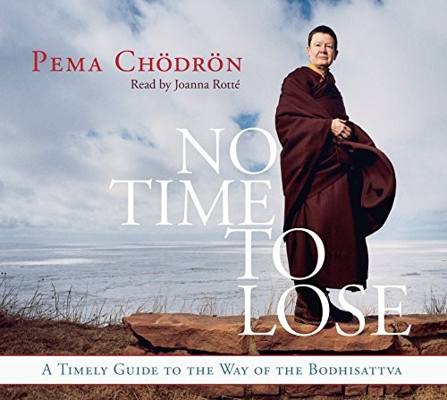 Cover for No Time to Lose