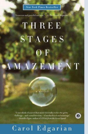 Cover for Three Stages of Amazement