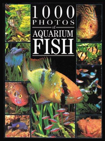 Cover for 1000 Photos of Aquarium Fish (1000 Photos Series)