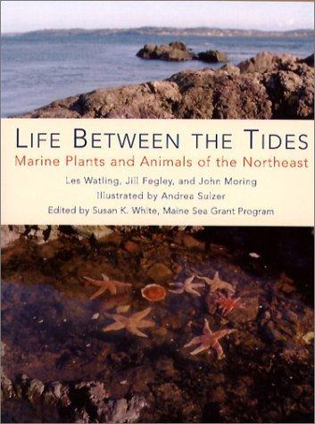 Cover for Life Between the Tides