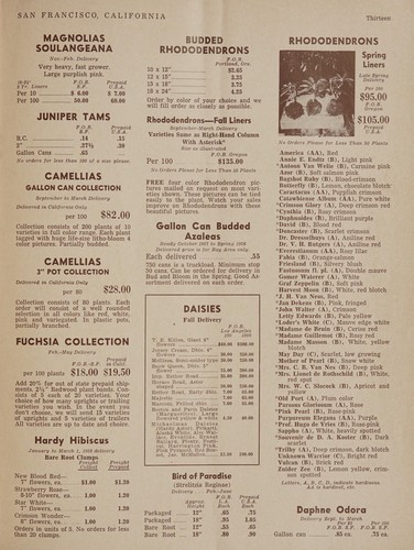 Cover for Wholesale bulbs, plants, supplies, fall '57 spring '58
